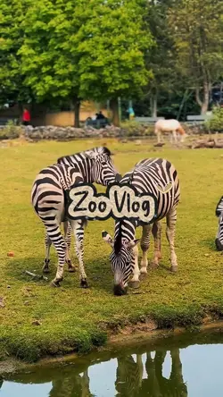 zoo vlog