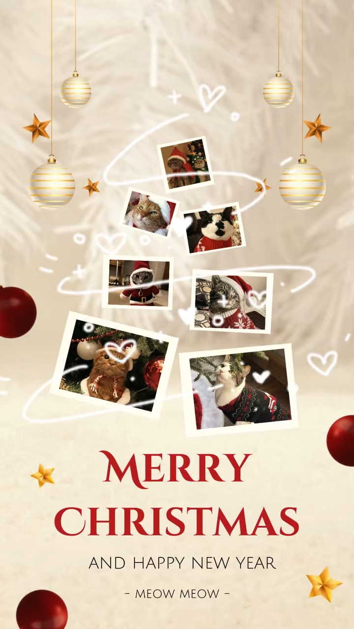 Cat Christmas 