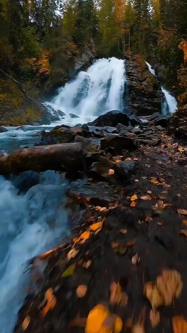 Adventure Vibes