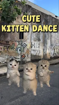 CUTE KITTEN DANCE 