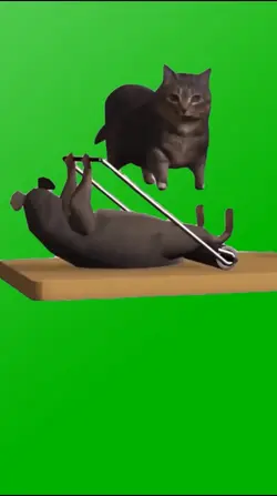 CAT & MOUSE MEME