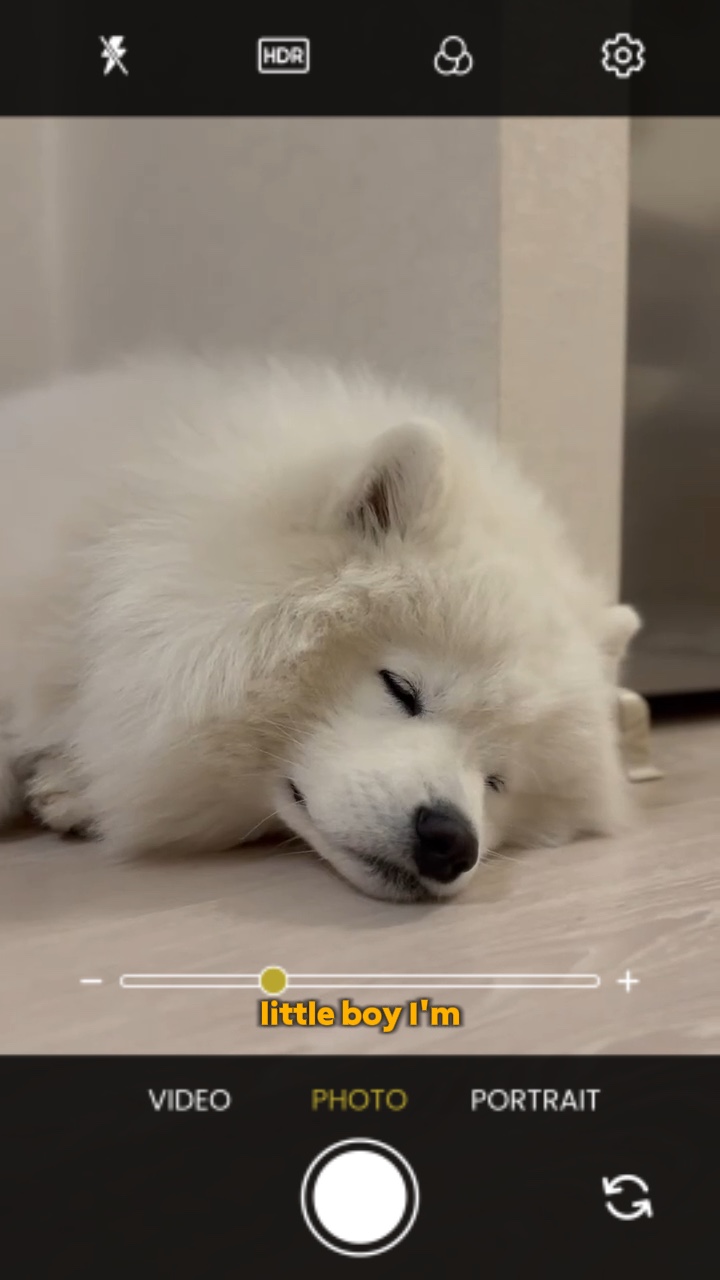 BEN KÜÇÜK BİR KÖPEĞİM