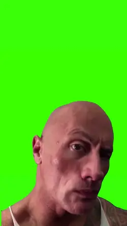 the rock meme