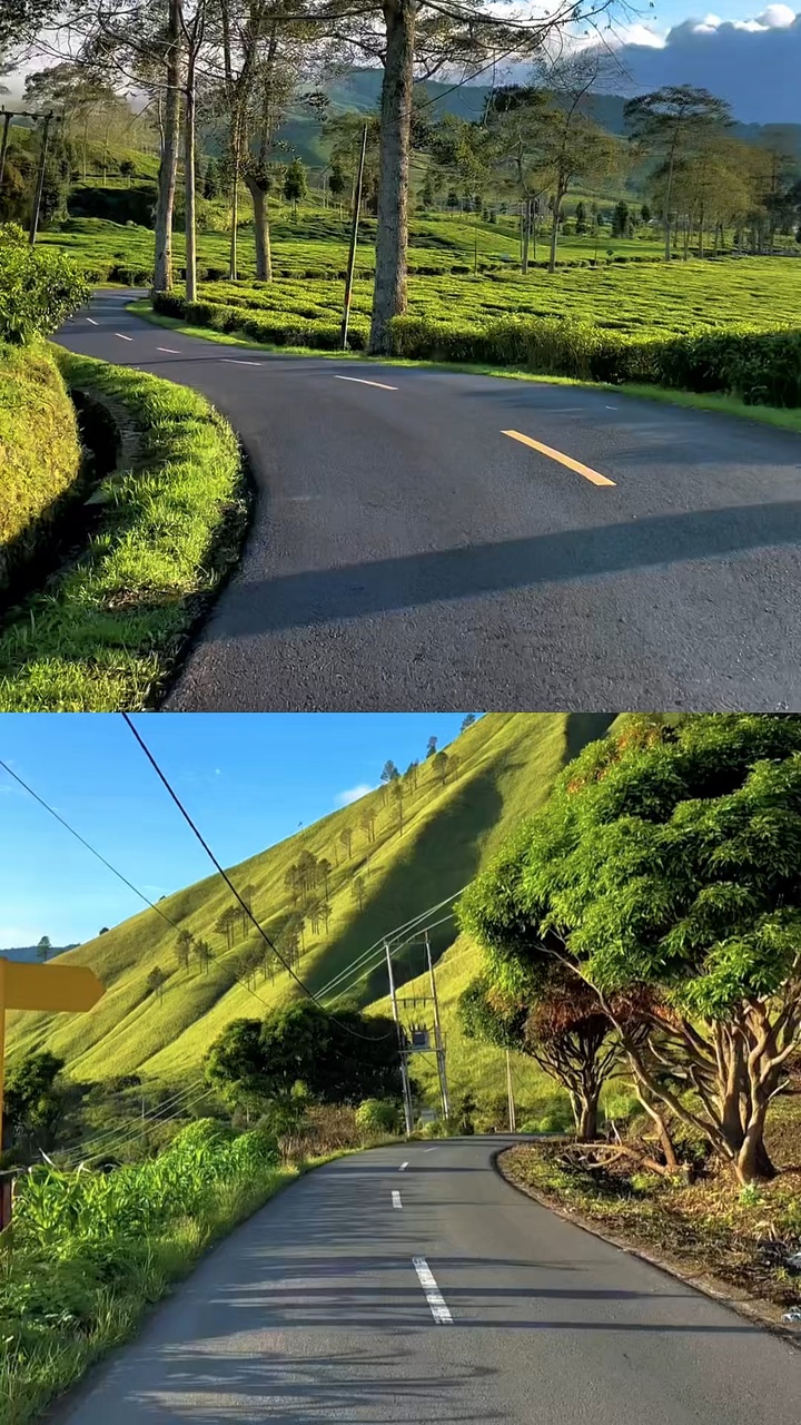 collage vidéo