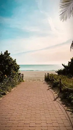 Travel Memories ✈️🧠💭