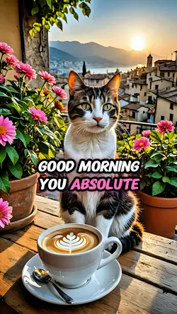 Rise And Shine 