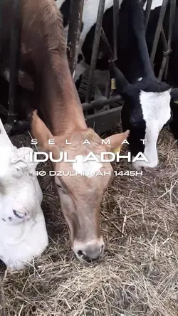 Selamat Idul Adha