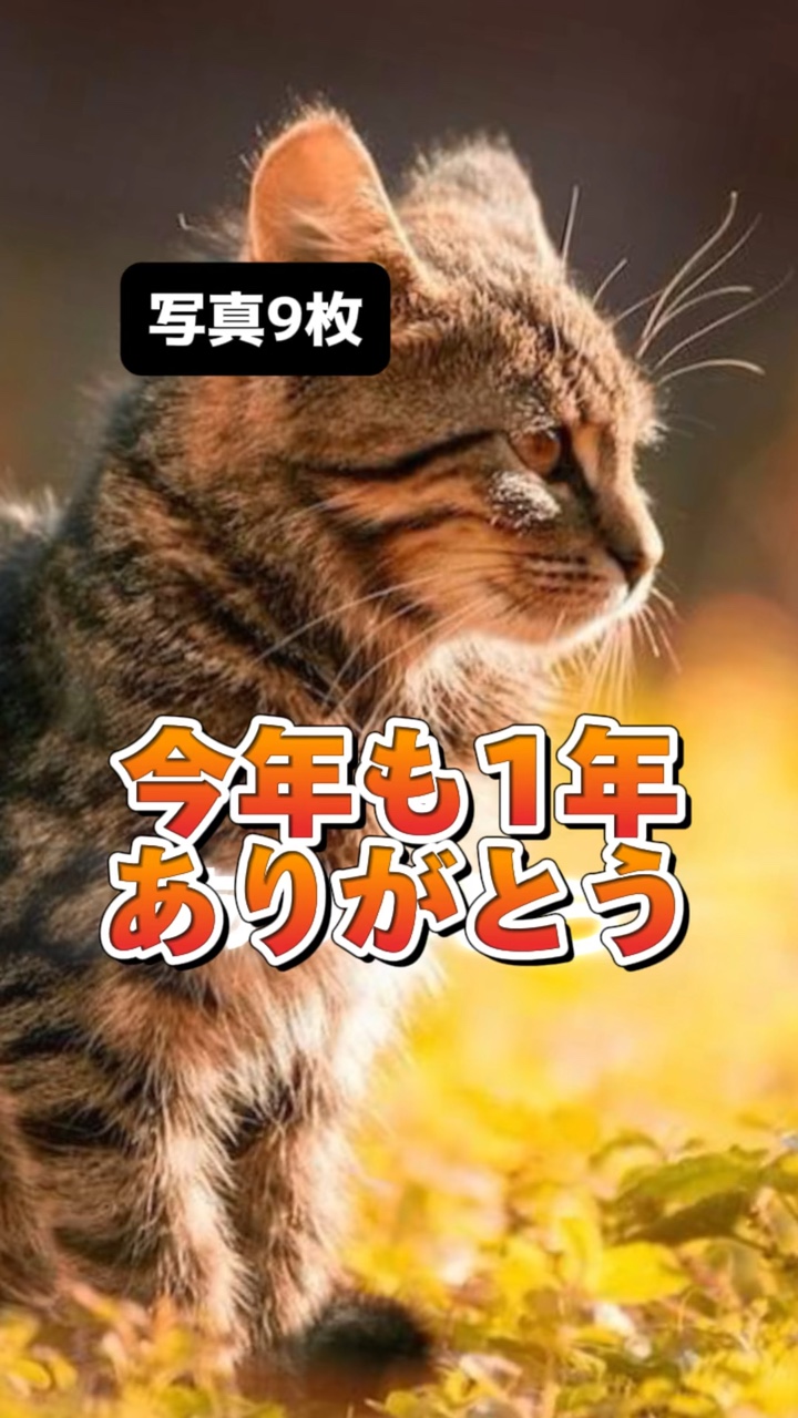 今年も1年ありがとう