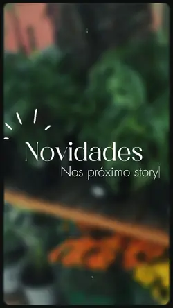 Novidades 