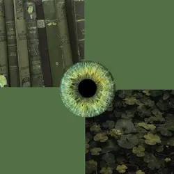 dark brown x green