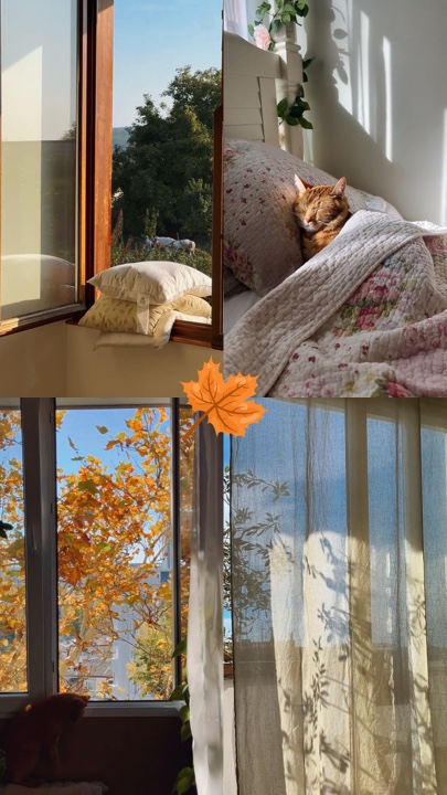 Grille 4 clips🍂