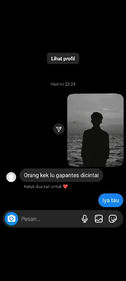 DM IG