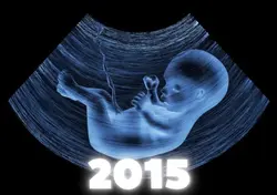 2015 VS 2026