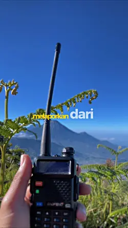 Melaporkan dari