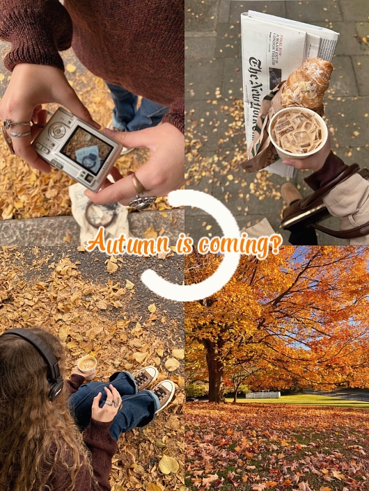 Autumn is coming 
