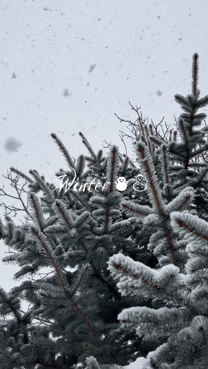 Inverno 