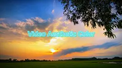 Video AestheticColor