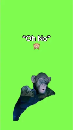 “Oh No” 🙈