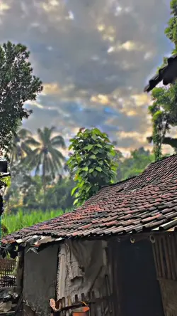 HD JERNIH