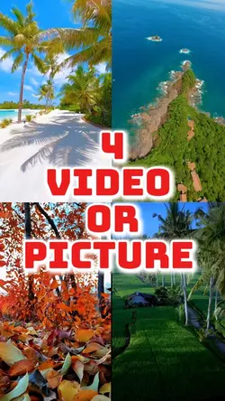 4 video new template