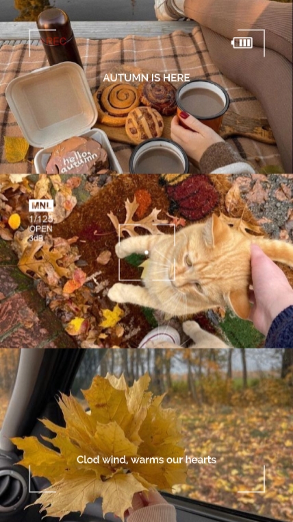 autumn is here
