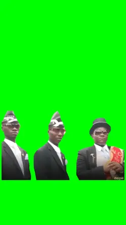Coffin dance meme