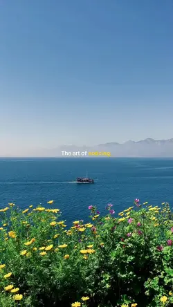 The art of noticing 