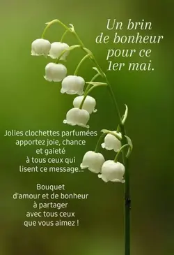 porte bonheur 