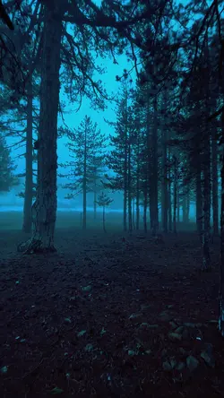 Dark calm cinematic