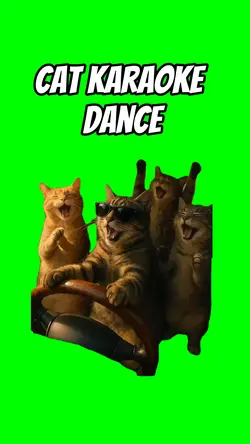 Cat karaoke dance 