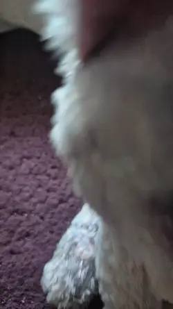 idk
