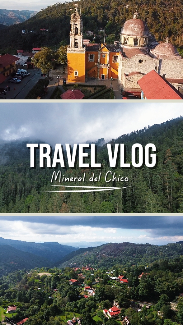Travel Blog - Bosque