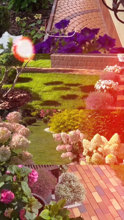 Berkebun
