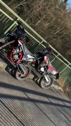 Beta rr 125 lc