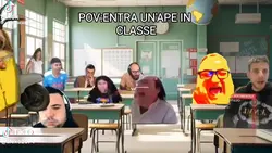 Nooo l'ape nooo