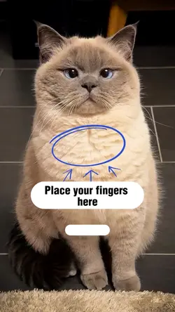 Place your fingers 