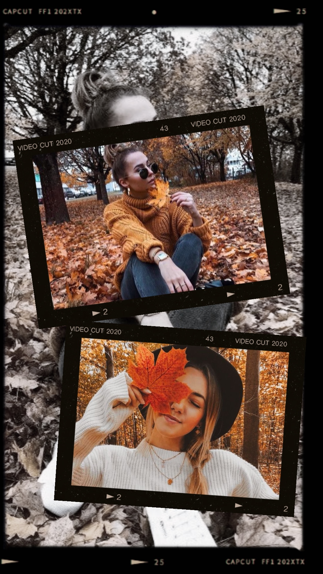 Autumn Photos