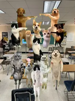 kindergarten be like