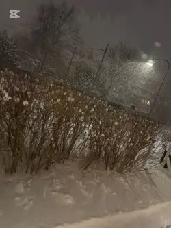 Var dig själv❤️