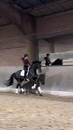DRESSAGE SLOWMO