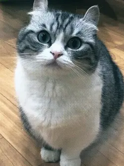 Mimimimimimi