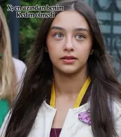 Kedi
