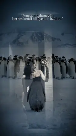 penguen şablonu 