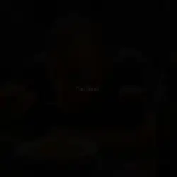 text only #3