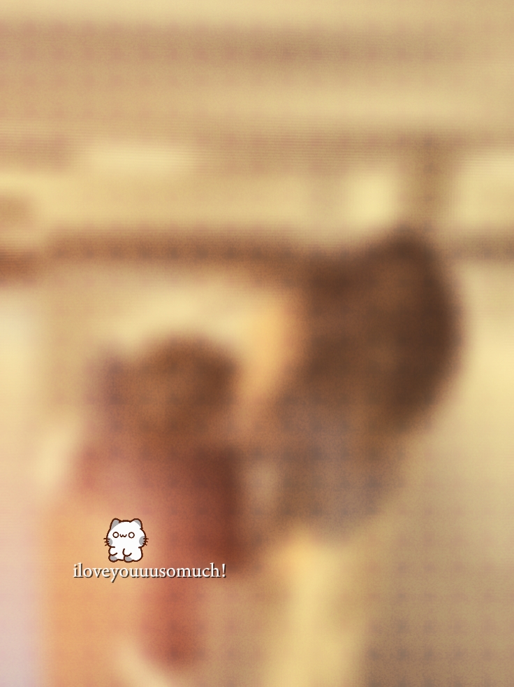 1pic blur photo 