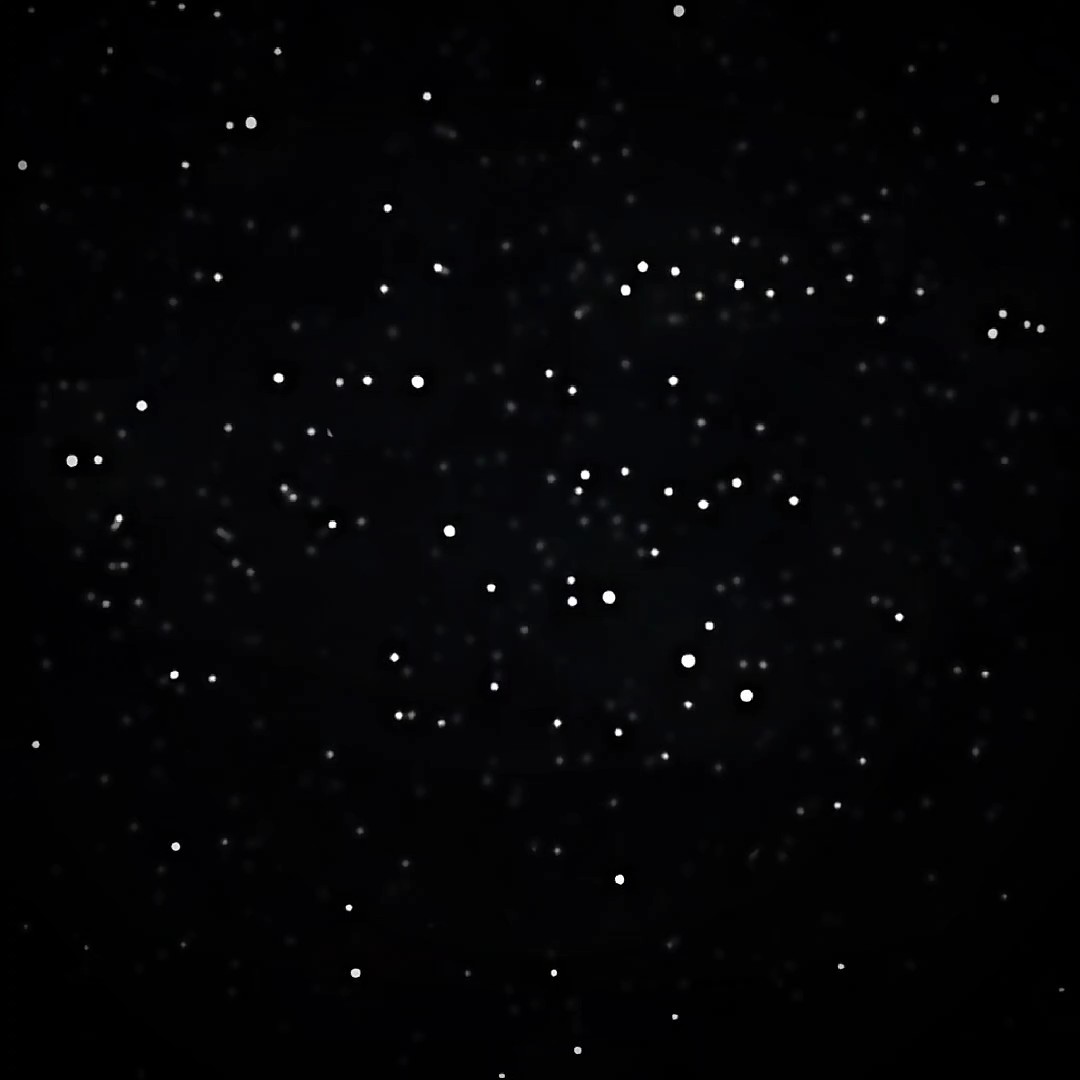NUEVA EDICIÓN COMERCIAL 