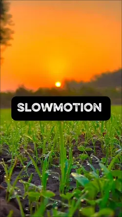 Slowmo trend 