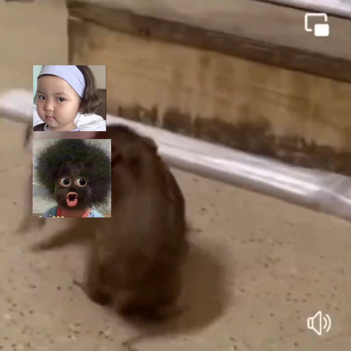 គូរសងសឹក 