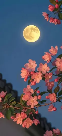 iPhone 3D wallpaper 
