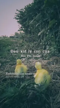 Đau xót lý con cua